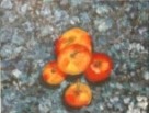 Painting: "Apples"